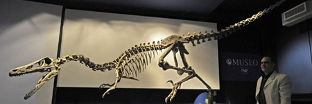 Austroraptor Cabazai