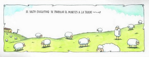 Liniers