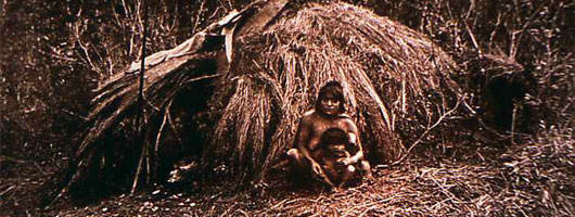 musee du quai branly patagonie