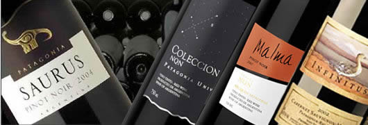 vins patagonie