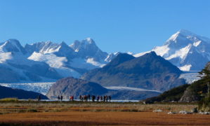 patagonie horn