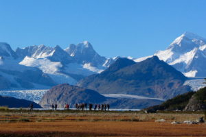 patagonie horn