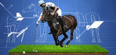 biotechnologie cheval de polo