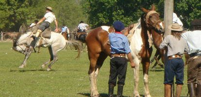 chevaux argentine