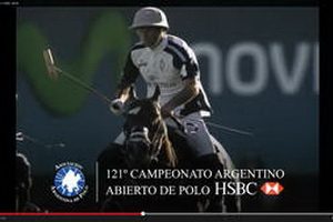 polo 2014