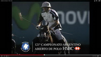 polo 2014