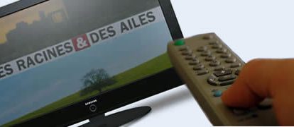 des racines et des ailes