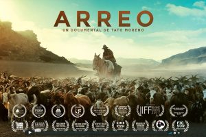 transhumance andes