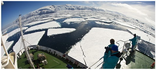 antarctique svetaeva