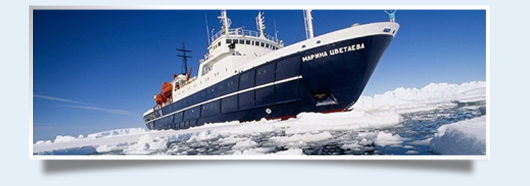 promo antarctique