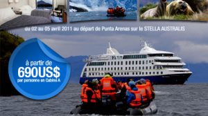 stella australis promotion