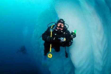 antarctique plongée