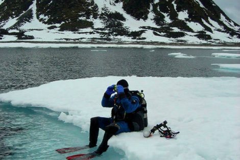 antarctique plongée