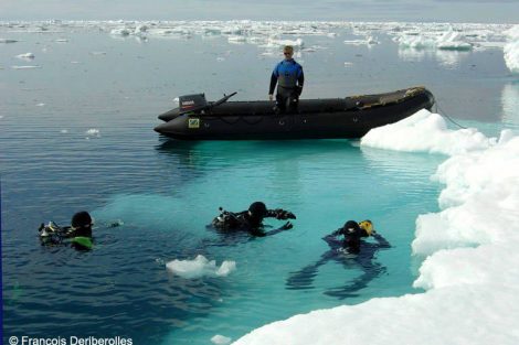 antarctique plongée