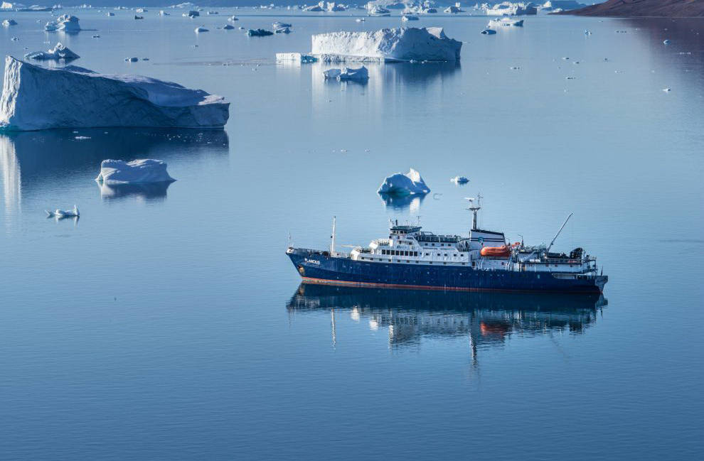 plancius antarctique