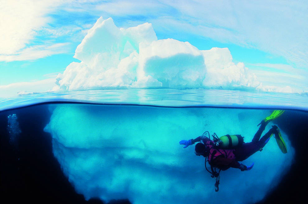Plongée Antarctique