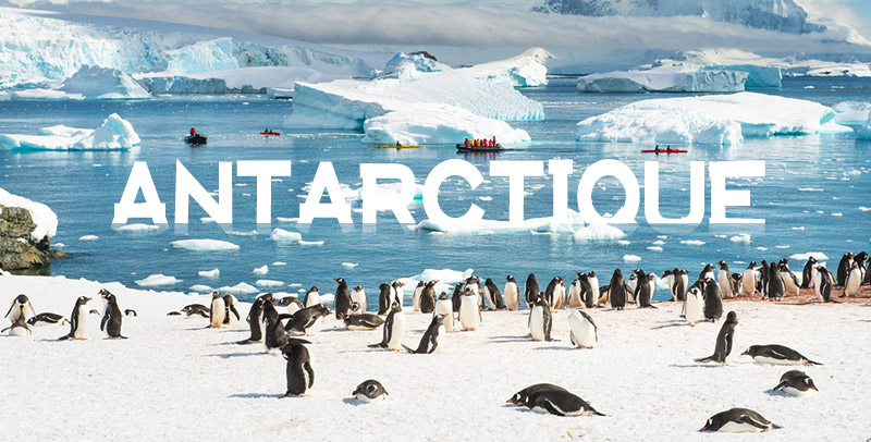 antarctique prix et dates
