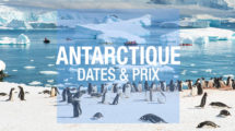 antarctique prix dates