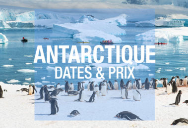 antarctique prix dates
