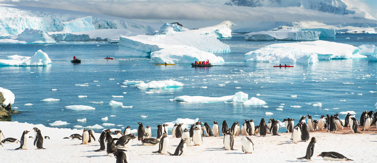 antarctique prix