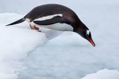 aéro croisière antarctique