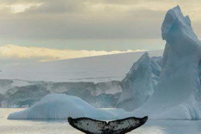 aéro croisière antarctique