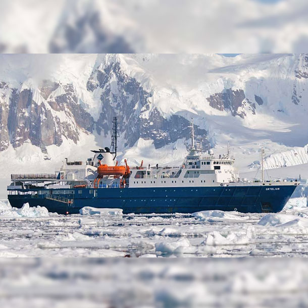 L'ortelius vu de profial devant un glacier