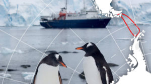 découvrir antarctique