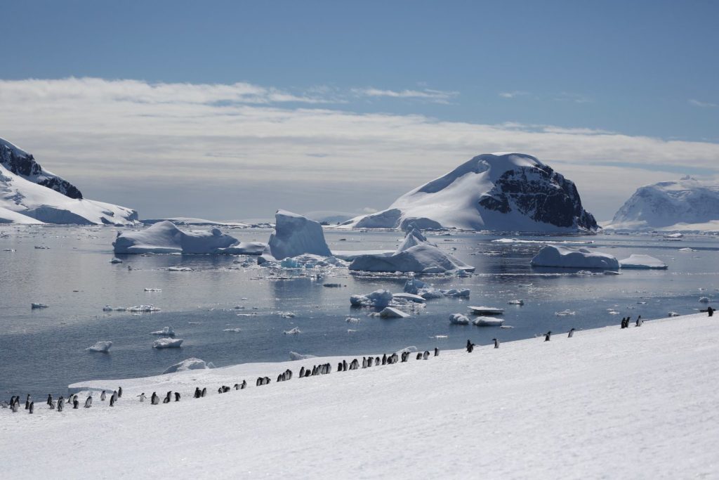 antarctique Cercle polaire