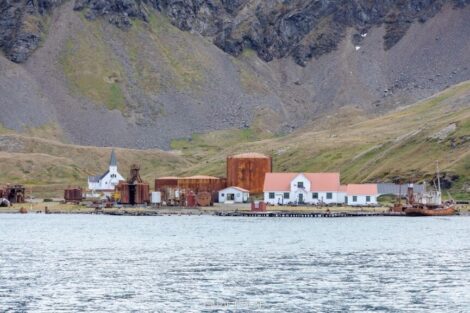 grytviken
