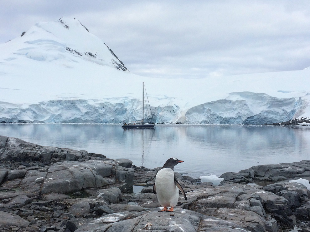 antarctique en voilier