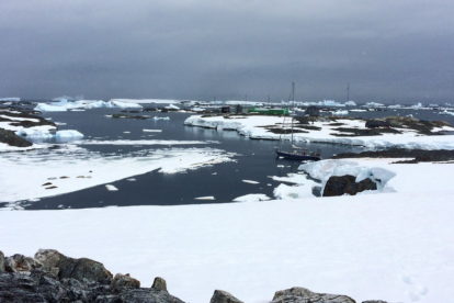 voilier en antarctique