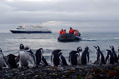 Croisiere australis