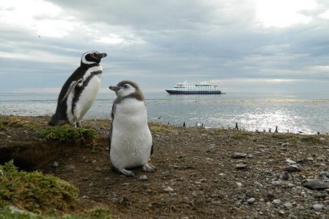 Croisiere australis