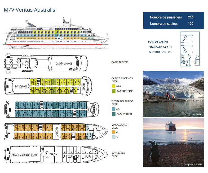 ventus australis