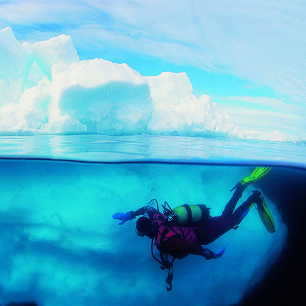 plongee antarctique