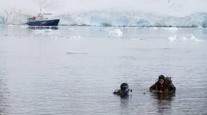 plongée antarctique video