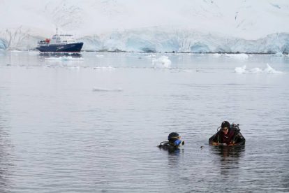 plongée antarctique video