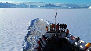 classique antarctique