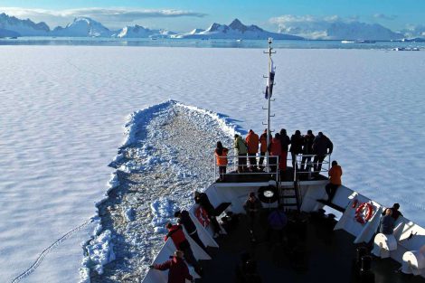 classique antarctique