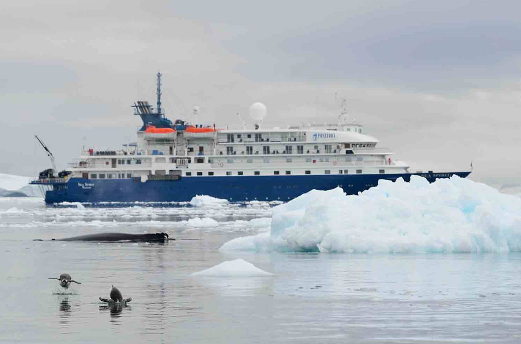 2 manchots nagent et sautent hors de l'eau avec le bateau sea spirit en arrière plan