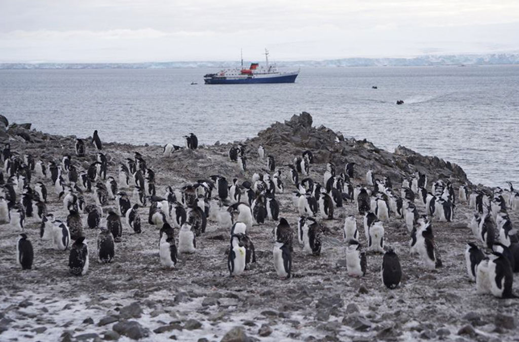 le bateau Ushuaia au mouilage devant une colonie de manchots