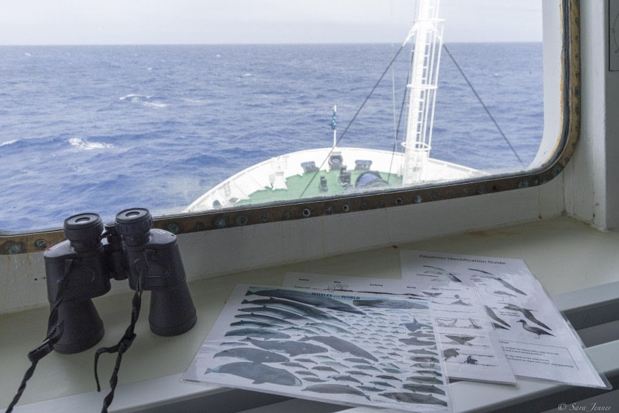 Memo d'observation des baleines posé sur la passerelle devant la vitre
