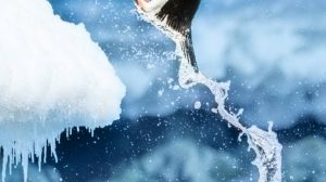 antarctique photo 2016