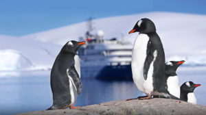 sea spirit antarctique