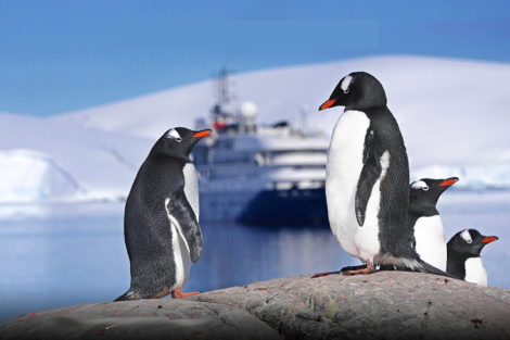 sea spirit antarctique