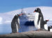 sea spirit antarctique