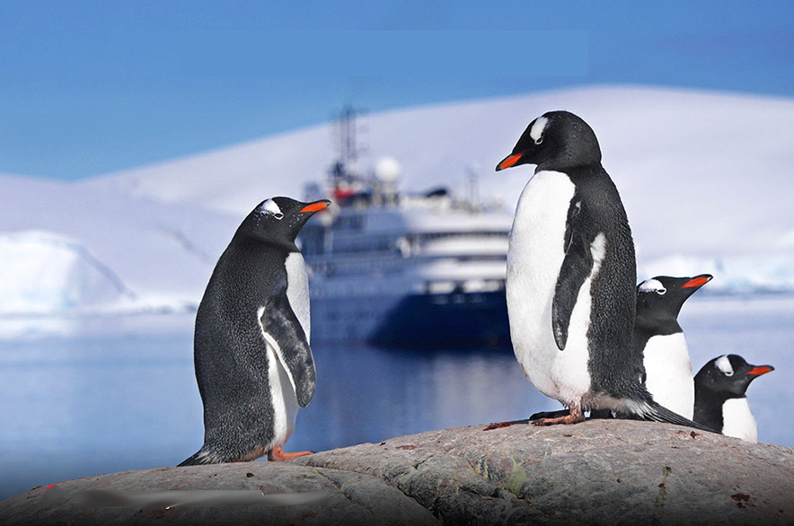 sea spirit antarctique