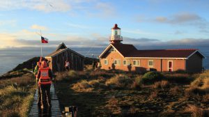 phare du cap horn