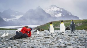 antarctique malouines plancius